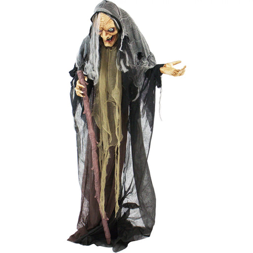 Life-Size Poseable Witch with Lights and Sound, Indoor/Covered Outdoor Halloween Decoration