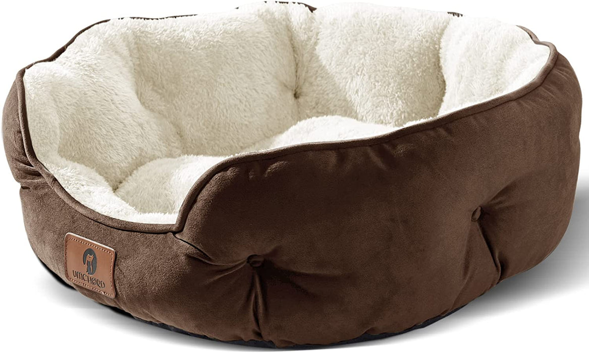 Small Dog Bed for Large Dogs