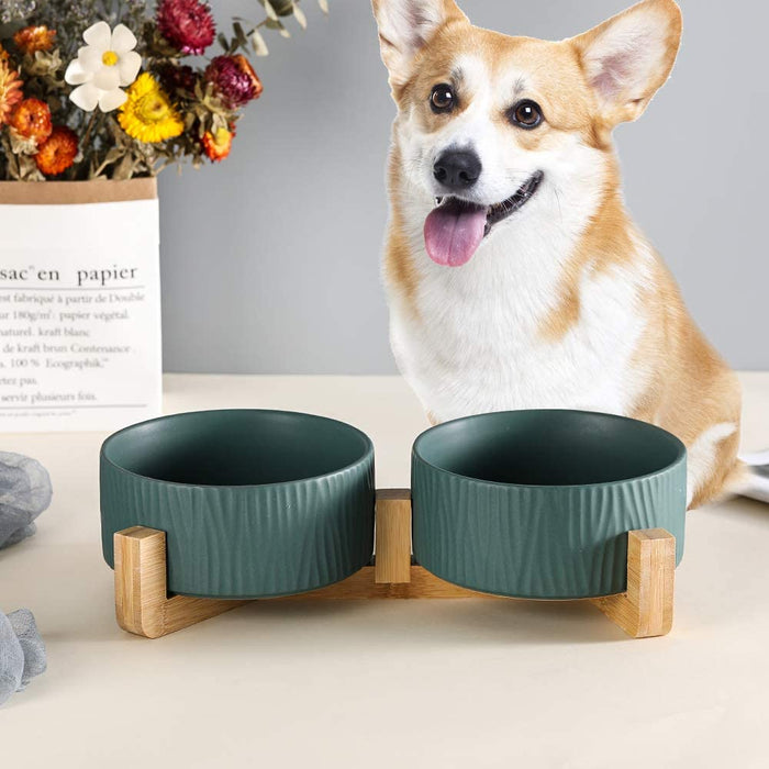 Green Pet Bowls for Dogs and Cats, Ceramic, Bamboo Stand, Dishwasher Safe and Easy to Clean (2 Bowls)