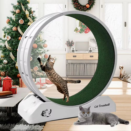 Cat Treadmill Wheel Exerciser for Kitty’s 