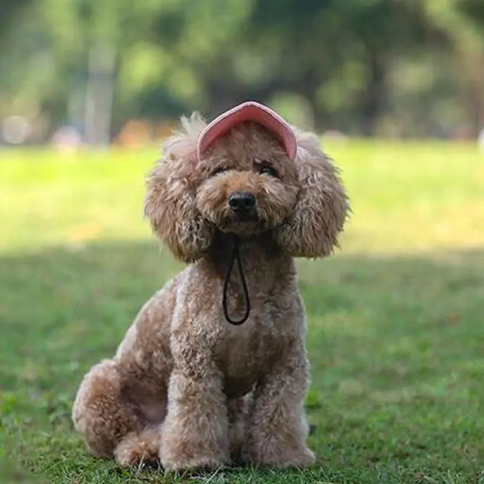 Pet Dog Caps Small Puppy 