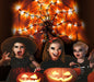 Halloween Decorations Orange Lights Spider Web 24In 60LED