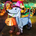 Halloween Inflatable 5.7 FT Dog Skeleton